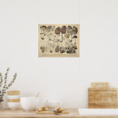 ヴィンテージ1831マッシュルーム品種ブラウンキャッププリント ポスター (キッチン)