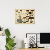 ヴィンテージ1831マッシュルーム品種ブラウンキャッププリント ポスター (ホームオフィス)