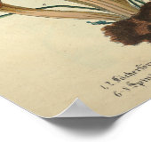 ヴィンテージ1831マッシュルーム品種ブラウン真菌プリント ポスター (角)