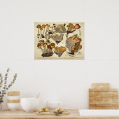 ヴィンテージ1831マッシュルーム品種ブラウン真菌プリント ポスター (キッチン)