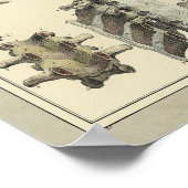 ヴィンテージ1831脊柱解剖学プリント ポスター (角)