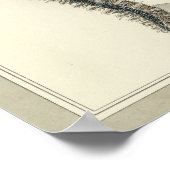 ヴィンテージ1831脊髄静脈解剖学プリント ポスター (角)