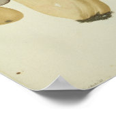 ヴィンテージ1841イエローブラウンマッシュルームアートプリント ポスター (角)