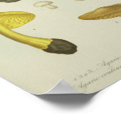 ヴィンテージ1841イエローブラウンマッシュルームアートプリント ポスター (角)