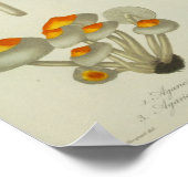 ヴィンテージ1841イエローブルーパープルマッシュルームプリント ポスター (角)