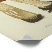 ヴィンテージ1841ブラウンマッシュルームアートプリント ポスター (角)