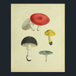 ヴィンテージ1841レッドブルーイエローマッシュルームアートプリント ポスター<br><div class="desc">ヴィンテージ1841キノコの植物性イラストレーション。赤、青、黄色の帽子。</div>