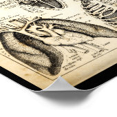 ヴィンテージ1844ヒトハート解剖学プリント ポスター (角)