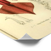 ヴィンテージ1845クラブフックイカスカラーアートプリント ポスター (角)