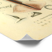 ヴィンテージ1845ネオン飛んでいるイカスカラーアートプリント ポスター (角)