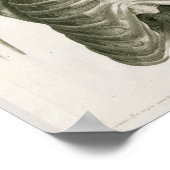 ヴィンテージ1853スカル骨格解剖学プリント ポスター (角)