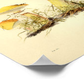 ヴィンテージ1855マッシュルームイエローキャップアートプリント ポスター (角)