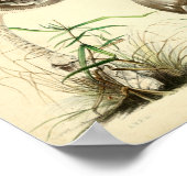 ヴィンテージ1855マッシュルームブラウンキャップアートプリント ポスター (角)