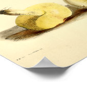 ヴィンテージ1855マッシュルームブラウンキャップアートプリント ポスター (角)