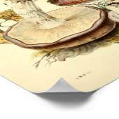 ヴィンテージ1855マッシュルームブラウンキャップアートプリント ポスター (角)