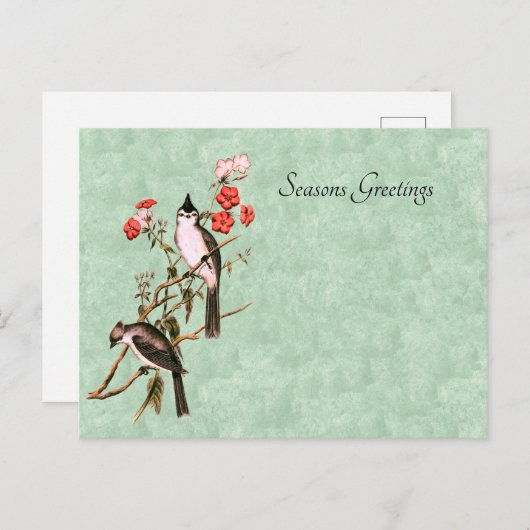 ヴィンテージ1860の黒紋付きタイトマウスペア シーズンポストカード (正面/裏面)