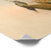 ヴィンテージ1861ヘミットハミングバードプリント ポスター (角)