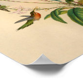 ヴィンテージ1861ヘミットハミングバードプリント ポスター (角)