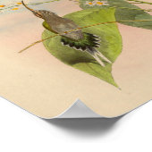 ヴィンテージ1861ヘミットハミングバードプリント ポスター (角)