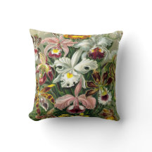 ヴィンテージ1865の植物の蘭のイラストレーション