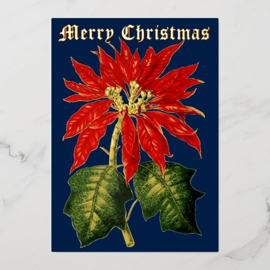 ヴィンテージ1867ポインセチア・クリスマス 箔シーズンカード (正面)