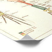 ヴィンテージ1881カエル生物解剖学プリント ポスター (角)