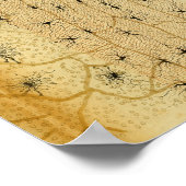 ヴィンテージ1886中枢神経系神経 ポスター (角)