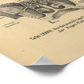 ヴィンテージ1888ドイツ解剖学プリントシニュース ポスター (角)