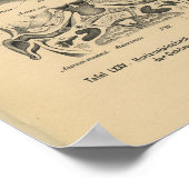 ヴィンテージ1888ドイツ解剖学プリントスカル眼 ポスター (角)