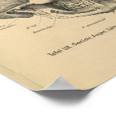 ヴィンテージ1888ドイツ解剖学プリントスカル眼 ポスター (角)