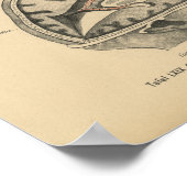 ヴィンテージ1888ドイツ解剖学プリントスカル脳 ポスター (角)