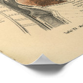 ヴィンテージ1888ドイツ解剖学プリントネック ポスター (角)