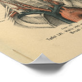 ヴィンテージ1888ドイツ解剖学プリント大動脈弓 ポスター (角)