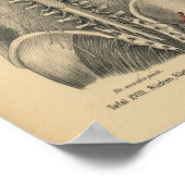 ヴィンテージ1888ドイツ解剖学プリント脊髄神経 ポスター (角)