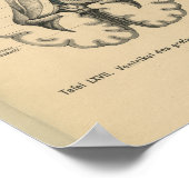 ヴィンテージ1888ドイツ解剖学プリント脳 ポスター (角)