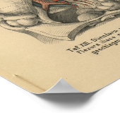 ヴィンテージ1888ドイツ解剖学プリント腹部 ポスター (角)