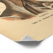 ヴィンテージ1888ドイツ解剖学プリント頸部筋肉 ポスター (角)