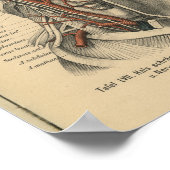 ヴィンテージ1888ドイツ解剖学プリント顔ネック ポスター (角)