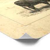 ヴィンテージ1888牛ふくらはぎプリント ポスター (角)