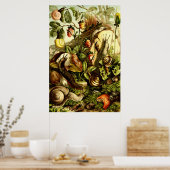 ヴィンテージ1890年ビクトリアンカタツムリ ポスター (キッチン)