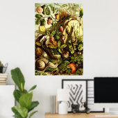 ヴィンテージ1890年ビクトリアンカタツムリ ポスター (ホームオフィス)