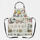 ヴィンテージ1890年度植物教育図 エプロン (正面)