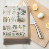 ヴィンテージ1890年度植物教育図 キッチンタオル (四つ折り)
