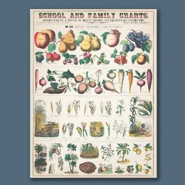 ヴィンテージ1890年度植物教育図 フォトプリント