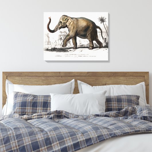 ヴィンテージ1892アジアゾウイラストレーション キャンバスプリント (インサイチュ (寝室))