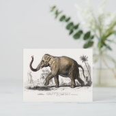 ヴィンテージ1892アジアゾウイラストレーション ポストカード (スタンド正面)