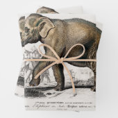 ヴィンテージ1892アジアゾウイラストレーション ラッピングペーパーシート (インサイチュ)