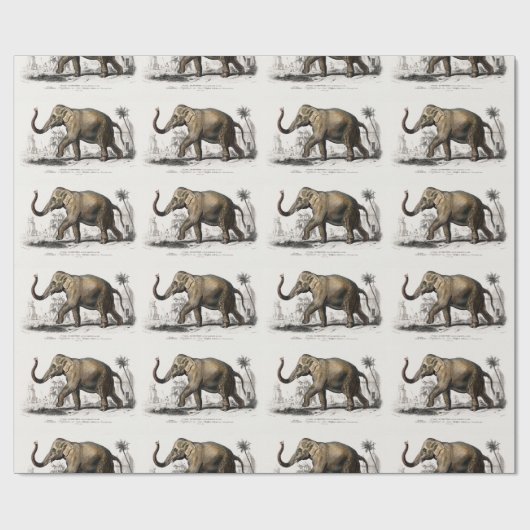 ヴィンテージ1892アジアゾウイラストレーション ラッピングペーパー (フラット)