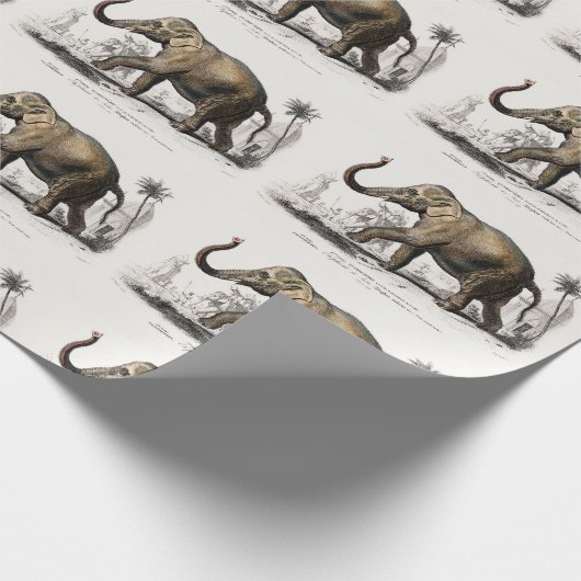 ヴィンテージ1892アジアゾウイラストレーション ラッピングペーパー (角)