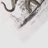 ヴィンテージ1892アジア象のプリントの分離 薄葉紙 (詳細)